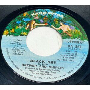 Brewer and Shipley Black Sky 45 Vinyl 70s Rock Promo Kama Sutra 567
